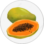 avatar pour Passo BARBOZA (Papaye)