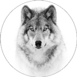 avatar pour Lou CHATARD (loulou)